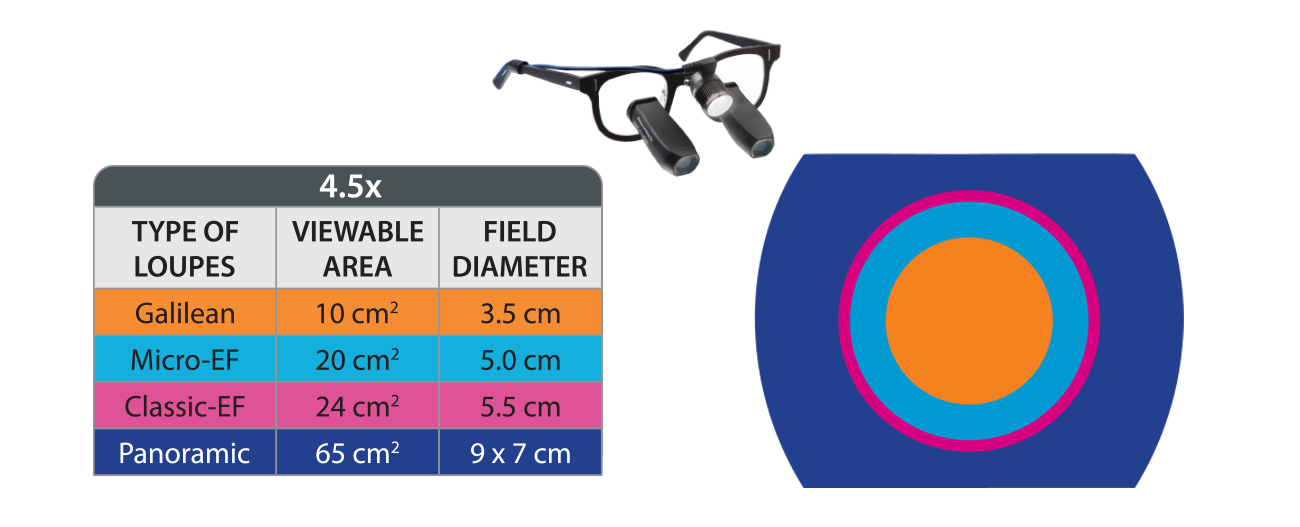 Panoramic Loupes